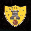 ( C03 / I05 ) Castillo C. F. ( Miranda de Arga )
