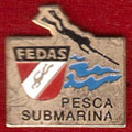 Federación Española de deportes subacuáticos ( pesca submarina )  