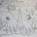 matita su tela - cm. 40x55