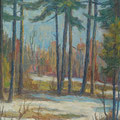199 Wald bei Schneeschmelze 45x61