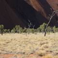 Uluru landscape