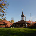 Narrenschopf
