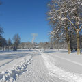 Gespurte Spazierwege im Kurpark