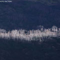 長野、栂池自然園　Tsugaike Kogen, Nagano