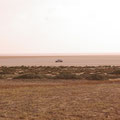 tunis - tunesien - tunisia - hammameth - desert - wuste - jeep-safari - salzsee strand - Mittelmeer - Sand - incentive reisen incentive agentur - Meeting-Incentive-Conference-Events - Mitarbeitermotivation - Teambuilding - Veranstaltung