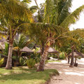 © bergmann incentives © beachcomber-hotels - Mauritius - seychellen - incentive reisen incentive agentur - Meeting-Incentive-Conference-Events - Mitarbeitermotivation - Teambu