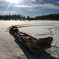 sweden - lappland - husky safari