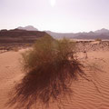 Jordanien