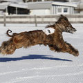 Viento eim Schneecoursing Januar 2010