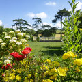 Fleurs colorées et vue dégagée dans le jardin du Gite Saint Lambert.