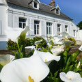 Arums blancs en fleurs au premier plan devant la belle façade traditionnelle du Gite Saint Lambert.