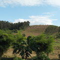 devinez où commence la propriété de Panya... les arbres sur la colline