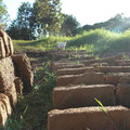 briques en train de sécher à Punpun