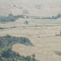 vue sur les champs de riz récoltés