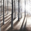 "Toter Wald" (180 x 110)