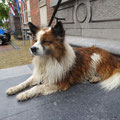 31.07.2019 in Leeuwarden, Niederlande