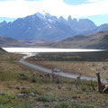 Guanacos delante del Lago Sarmiento y Maciso del Paine