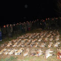 12.01.2013 / Bezirksbaujagd Gänserndorf: Gesamtstrecke (leider noch nicht alle bei der Streckenlegung anwesend gewesen): 85 Füchse, 6 Dachse, 13 Steinmarder