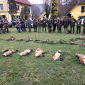 17.11.2013, Treibjagd Sittersdorf: 5 Füchse, 10 Hahnen, 2 Schnepfen, 1 Taube und 3 Eichelhäher lagen auf der Strecke, war wie immer eine tolle Jagd, ich bin mit Rocky und seiner Tochter Lottie als Treiber aktiv gewesen!