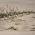 Bissendorfer Moor (Radierung von Helmut Seehausen); Heimat- und Geschichtsverein Wedemark e.V.