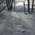 Winterimpressionen