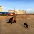 Abendrunde in Costa da Caparica