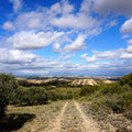 Piste durch den Naturpark Bardenas Reales