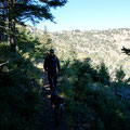 Auf dem Trail in der Sierra de las Nieves