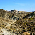 Tolle Wüstenlandschaft in allen Erdtönen