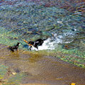 und dann ab ins Wasser