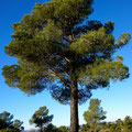 Parque Natural Hoces del Cabriel