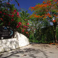 Anaks Ocean View Hill Saipan
