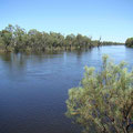 Murray River mit etwas Hochwasser