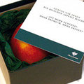 Plakate, Flyer & Co