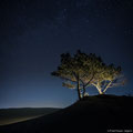 Starry sky above the dune