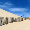 Week 20 Running down the dune