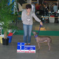 Adivina Inti Wasi - 1er exc cac-cacib BOB.