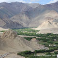 10. Tiserru Chorten (Leh)