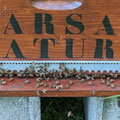 Apprentissage du nouvel environnement