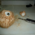 Wie wir eine Kokosnuss öffnen...