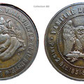 Comtemporaine - Empire - médaille satirique de Napoléon III  Sedan 1870 type tête de cochon 
