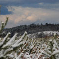 L'hiver est arrivé sur le camp de la Courtine (23)