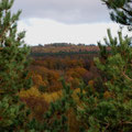 Couleurs d'automne dans la Creuse