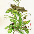 Cette grosse mère, encore toute engourdie, guète le printemps nouveau