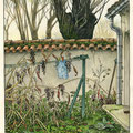 Bout de jardin en friche