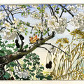 Vieux fruits et fleurs nouvelles