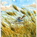 Du vent dans les blés