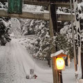 金劔宮(きんけんぐう)のお正月 Kinken Shinto Shrine