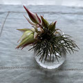 petitvase2025,プチベース,BOBCRAFT
