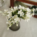Bouvardia,ブバリア,BOBCRAFT,
